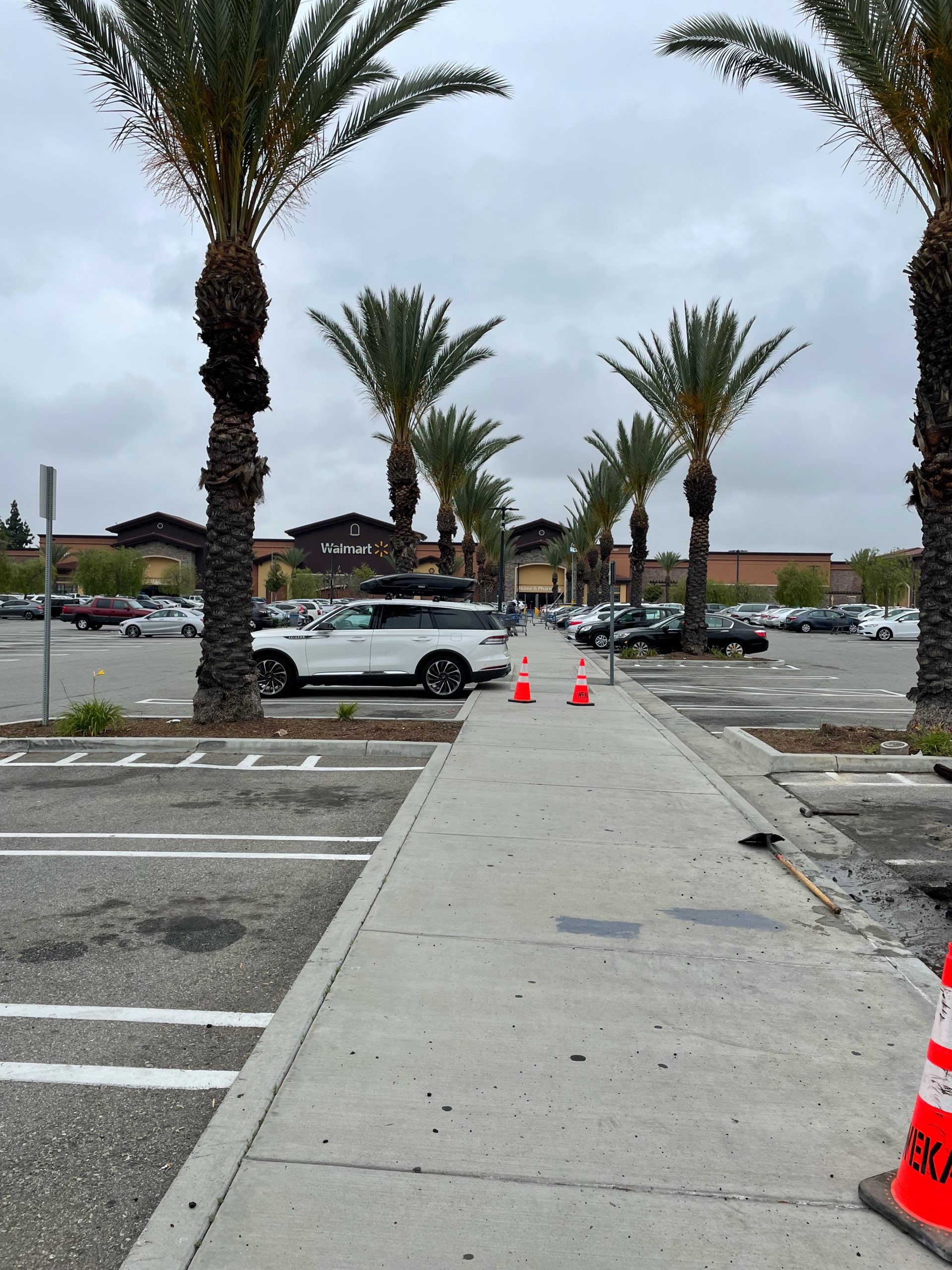 A parking area in front of a commercial space with various cars parked, and a series of palm trees lining the side